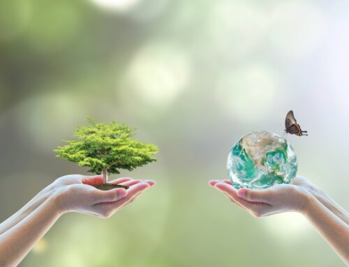 Sustainable travel with DERTOUR