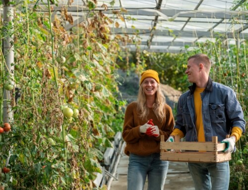 A Day out in the Fields!
